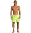 Swimsuit Men's Swimsuit QUIKSILVER Everyday Solid Volley 15