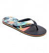 Flip Flops Bathroom_Men_QUIKSILVER Molokai Art Sl