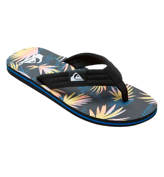 Flip Flops Bathroom_Men_QUIKSILVER Molokai Layback Ii