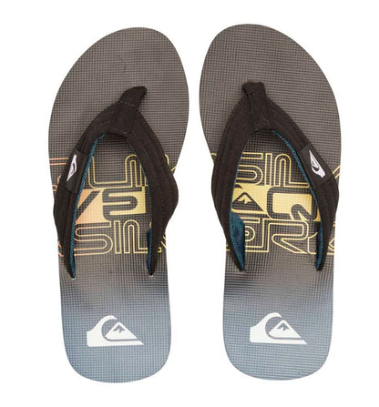 Flip Flops Bathroom_Men_QUIKSILVER Molokai Layback Ii