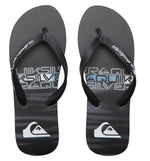 Quiksilver Molokai Stripe Bathroom Flip Flops