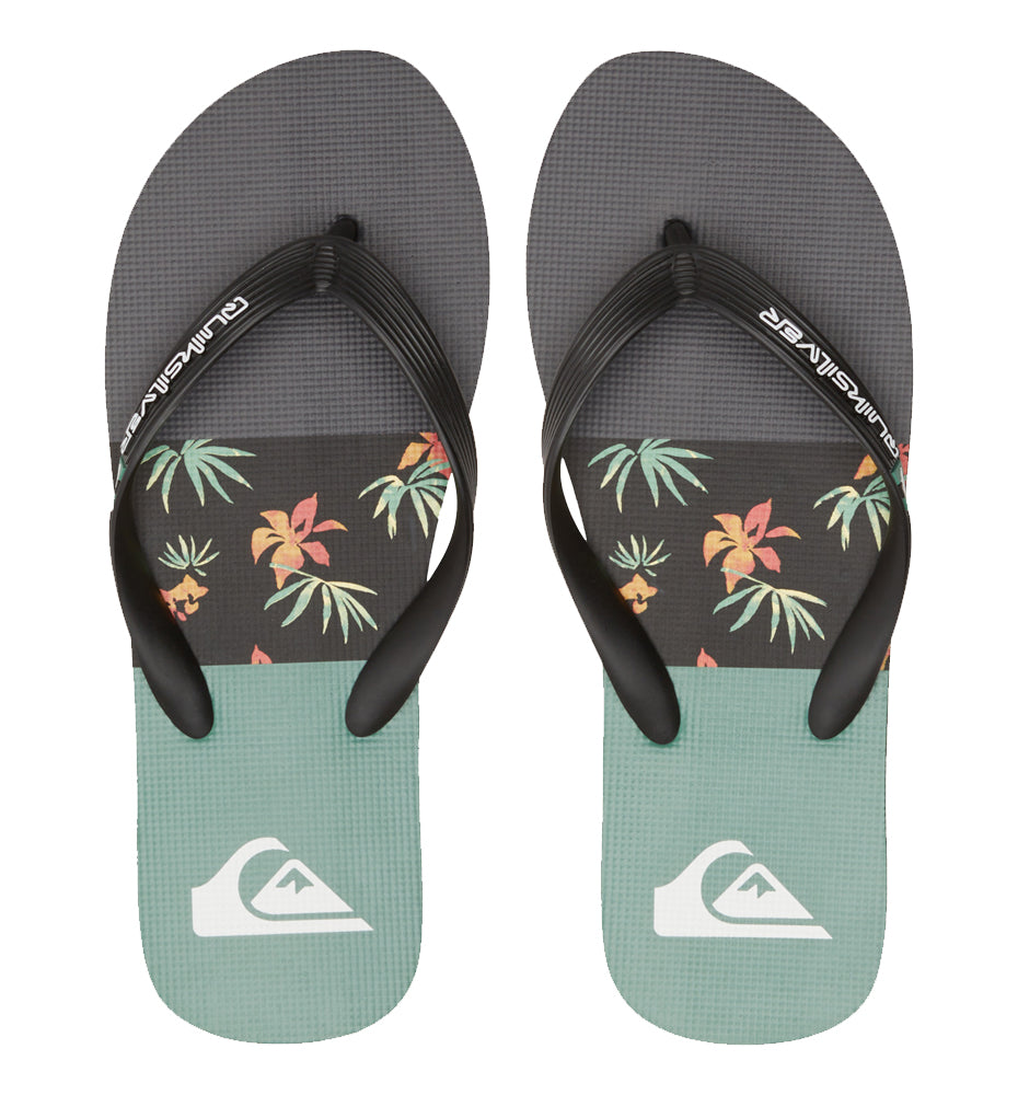 Flip Flops Bathroom_Men_QUIKSILVER Molokai Stripe