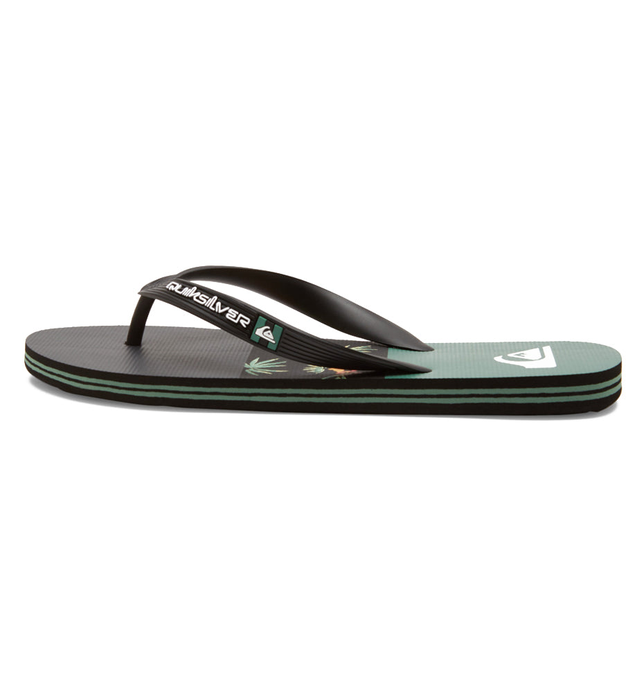 Flip Flops Bathroom_Men_QUIKSILVER Molokai Stripe