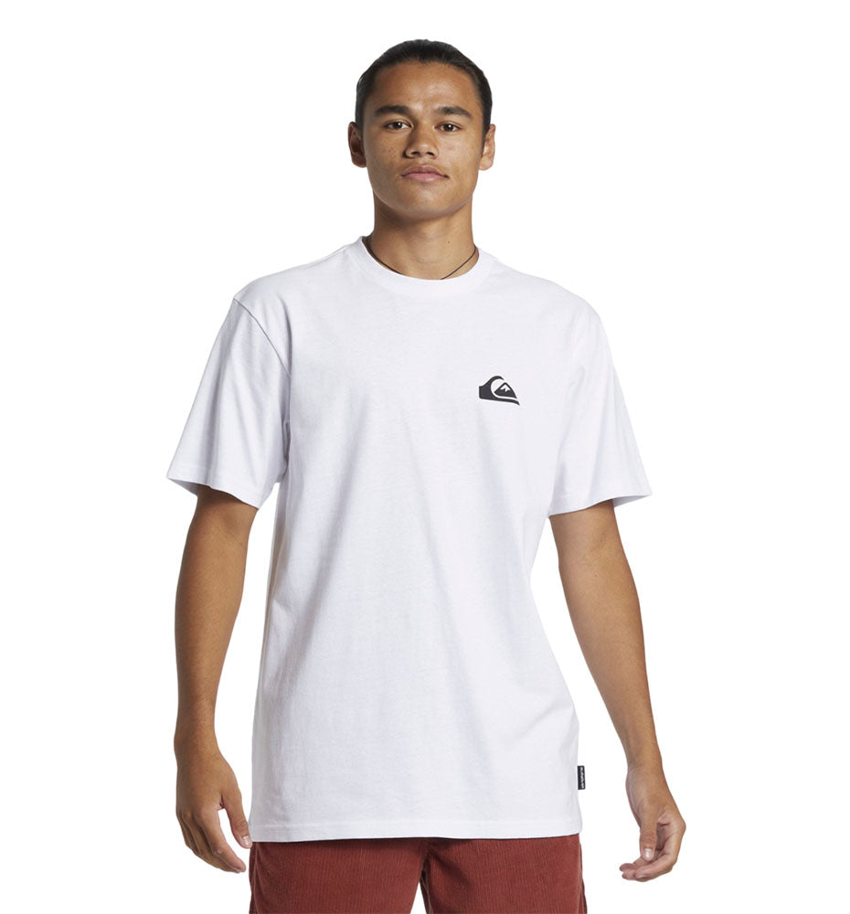 T-shirt M/c Casual_Men_QUIKSILVER Qs Logo Dna