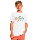 T-shirt M/C Casual Quiksilver Signature Move Ss Yth