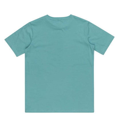 Camiseta M/c Casual_Niño_QUIKSILVER Bubble Arch Ss Youth