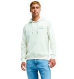 Hoodie Sudadera Capucha Casual Quiksilver Liquid Hoodie