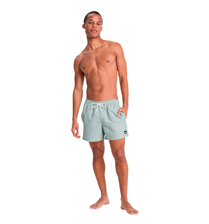 Quiksilver Everyday Deluxe Volley 15 Swim Trunks