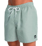 Bañador Quiksilver Everyday Deluxe Volley 15