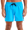Swimsuit Men's Swimsuit QUIKSILVER Everyday Solid Volley 15