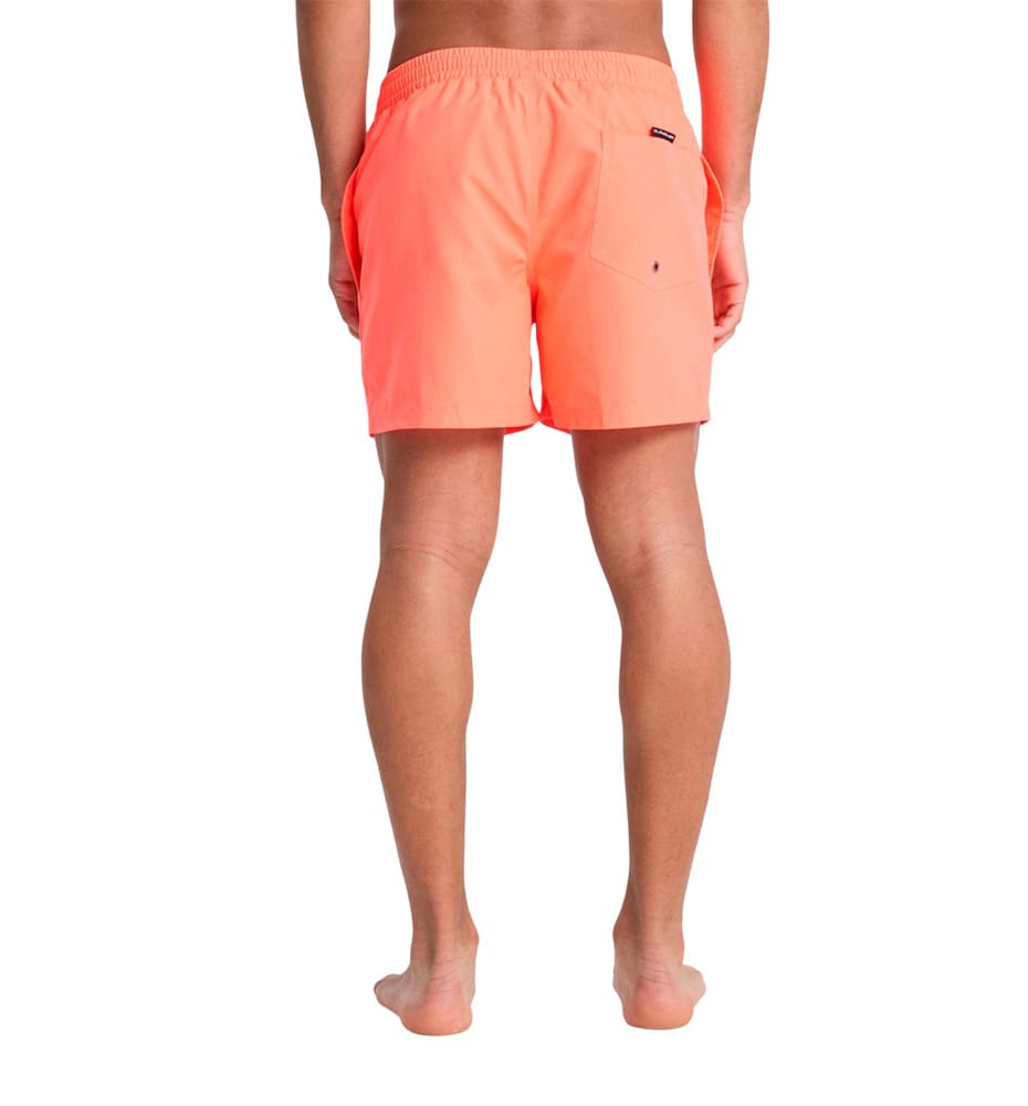 Swimsuit Men's Swimsuit QUIKSILVER Everyday Solid Volley 15