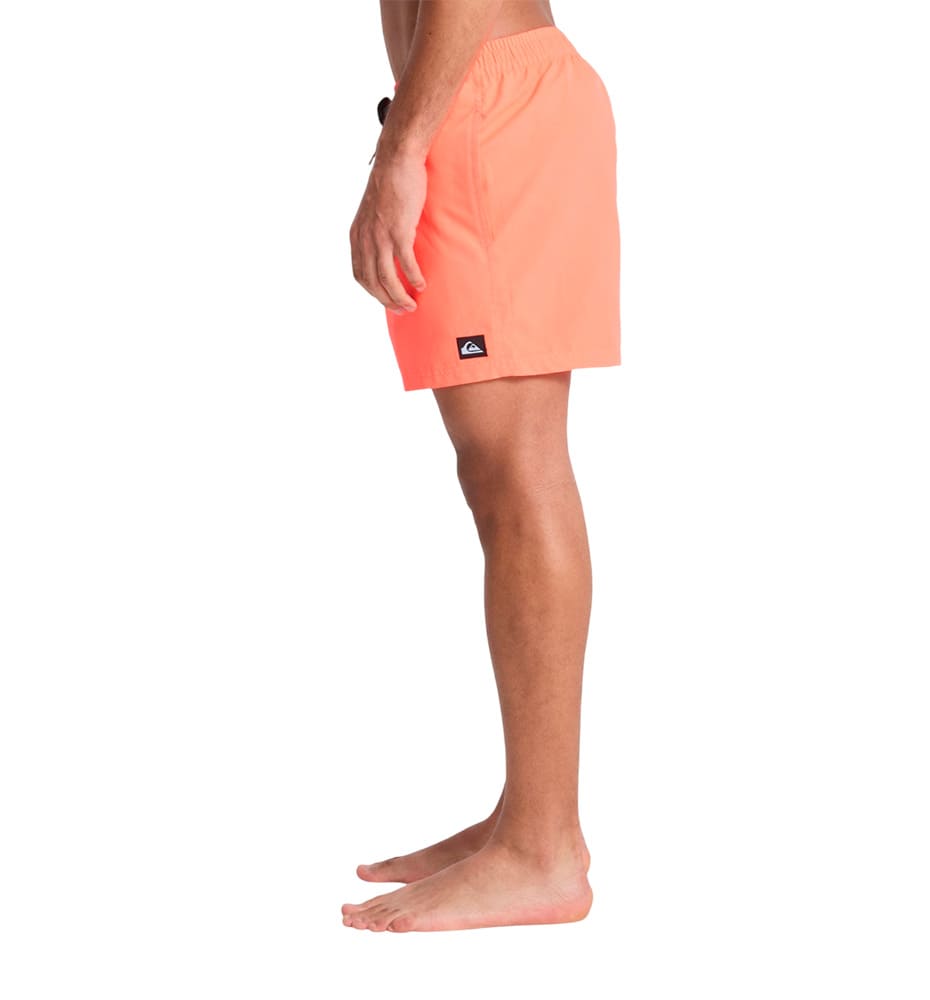 Swimsuit Men's Swimsuit QUIKSILVER Everyday Solid Volley 15