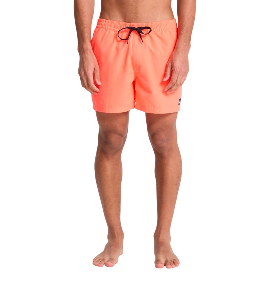Swimsuit Men's Swimsuit QUIKSILVER Everyday Solid Volley 15