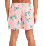 Bañador Baño Quiksilver Everyday Straight Volley 15