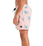 Bañador Baño Quiksilver Everyday Straight Volley 15