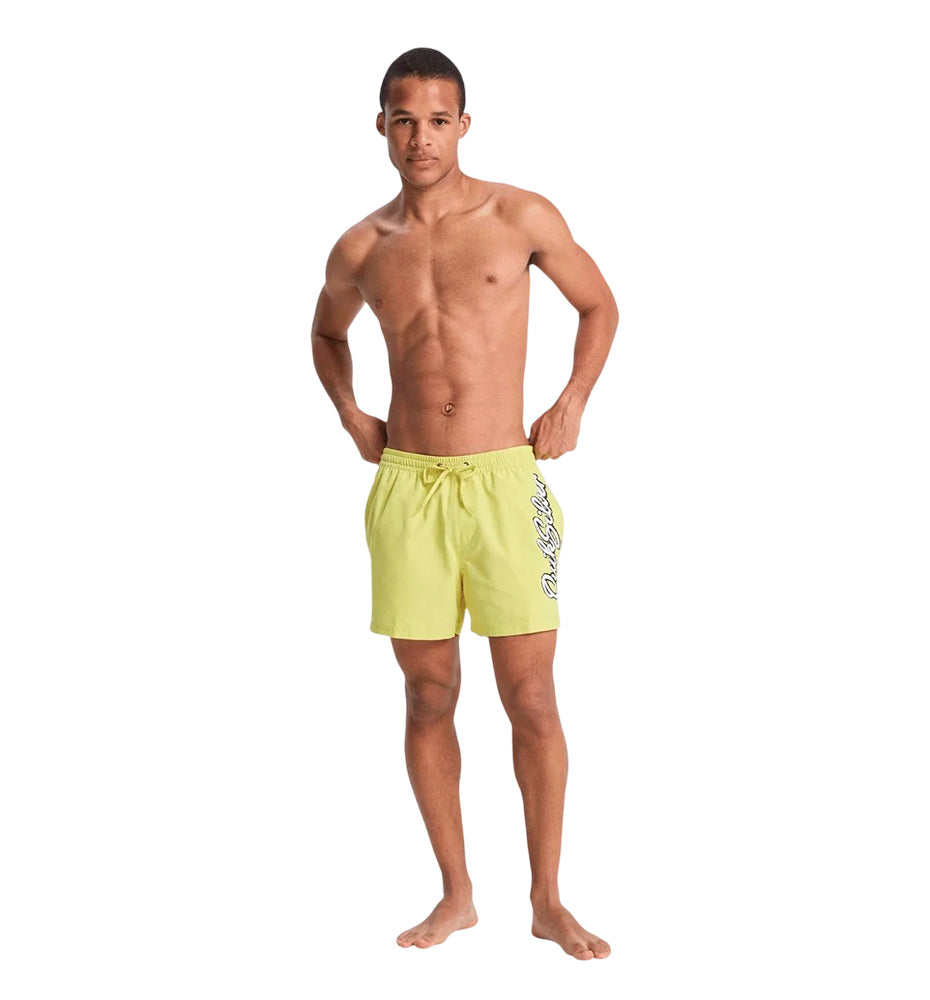Bañador Quiksilver Everyday Malibu Volley 15