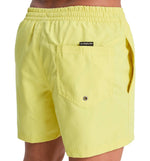Quiksilver Everyday Malibu Volley 15 Swim Trunks