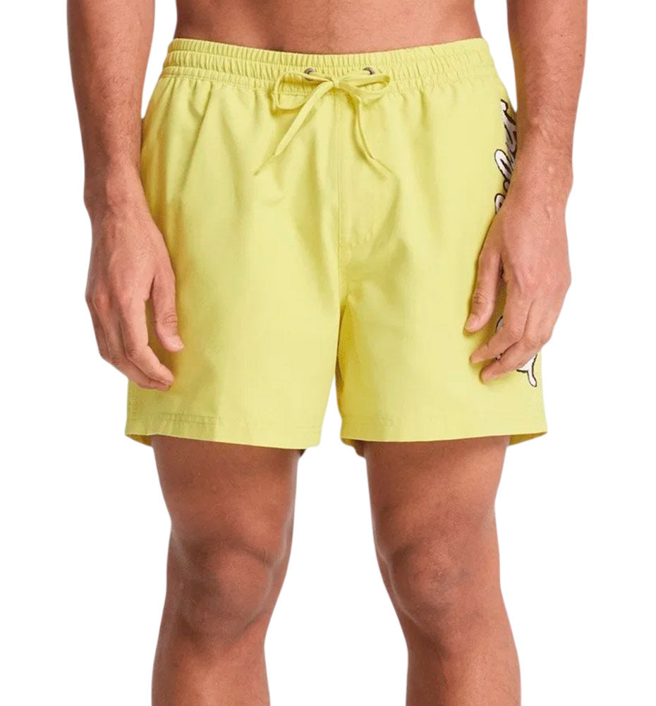 Bañador Quiksilver Everyday Malibu Volley 15