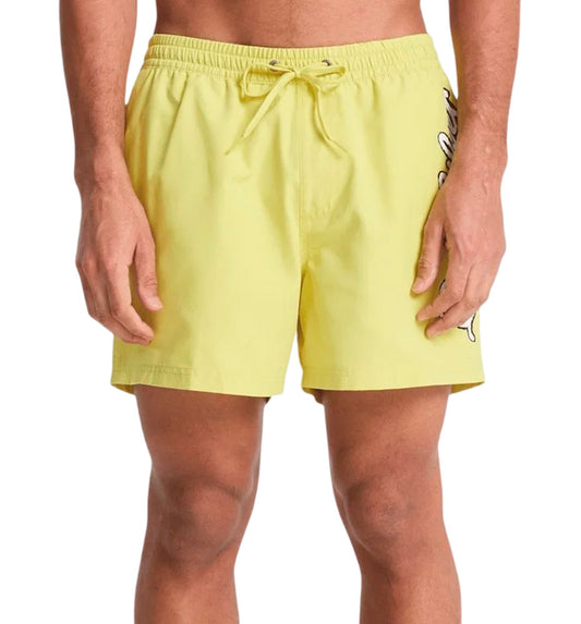 Bañador Quiksilver Everyday Malibu Volley 15