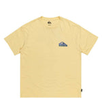 Quiksilver Take Us Back Logo Casual T-Shirt