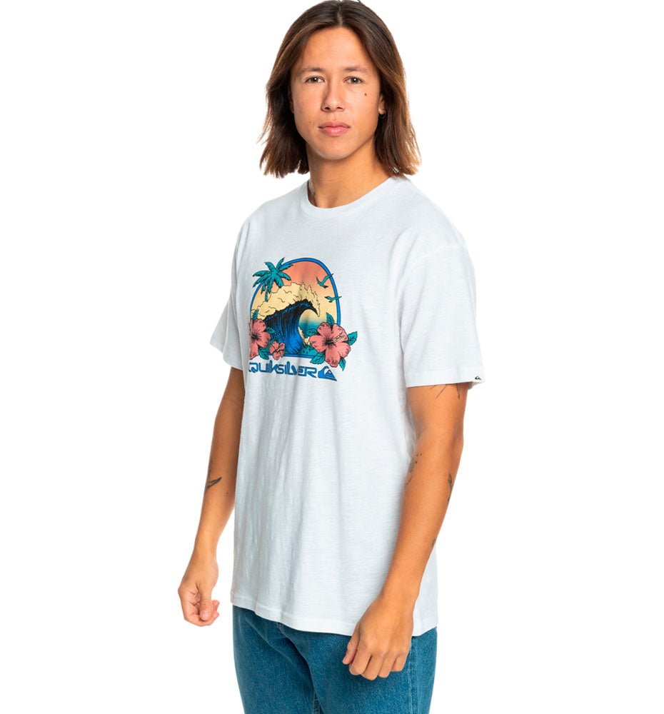 Camiseta M/c Casual_Hombre_QUIKSILVER Riding Today Ss