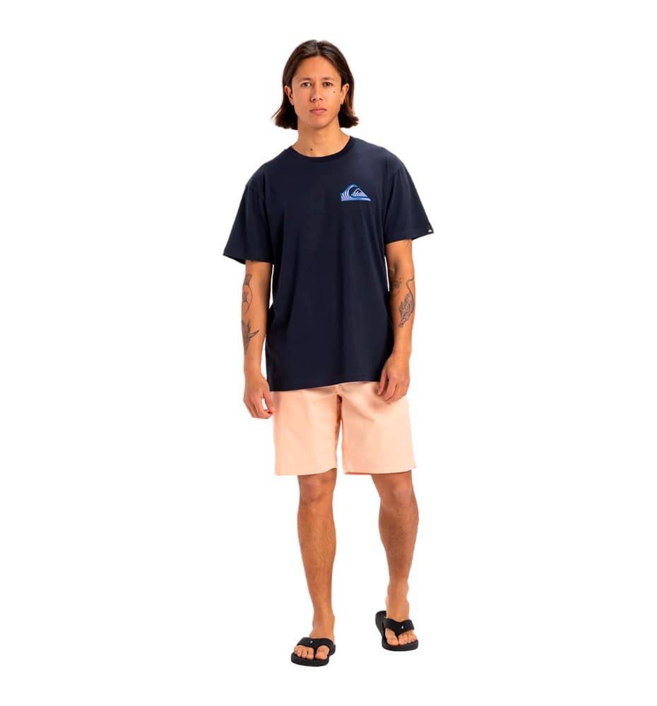 Men's Casual M/c T-shirt_QUIKSILVER Window Pane SS
