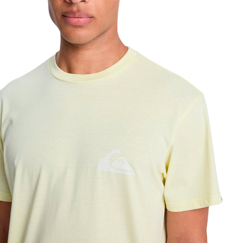 Quiksilver Men's Casual T-shirt