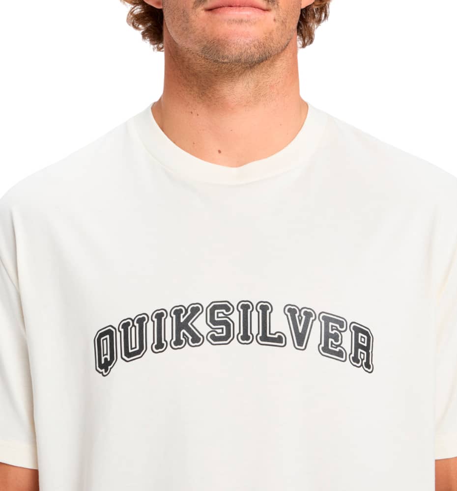 T-shirt M/c Casual_Men_QUIKSILVER Pto Fare Well Ss