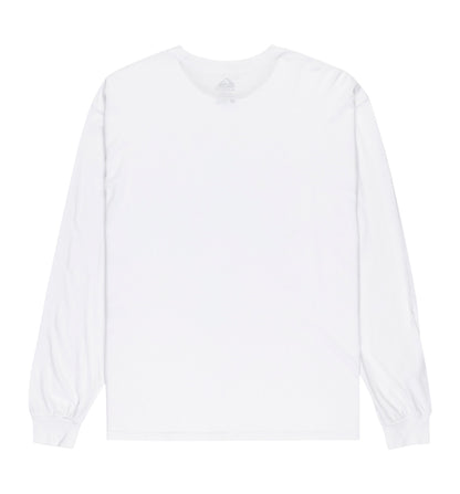 Men's Casual T-Shirt_QUIKSILVER Salt Water Ls