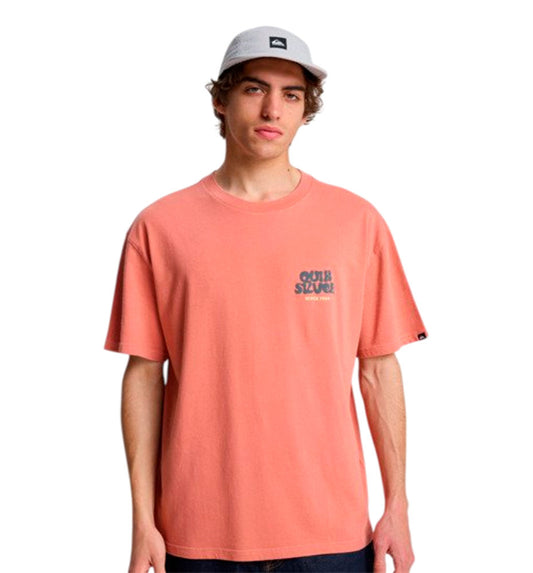 Camiseta Casual Quiksilver Fruits Tide