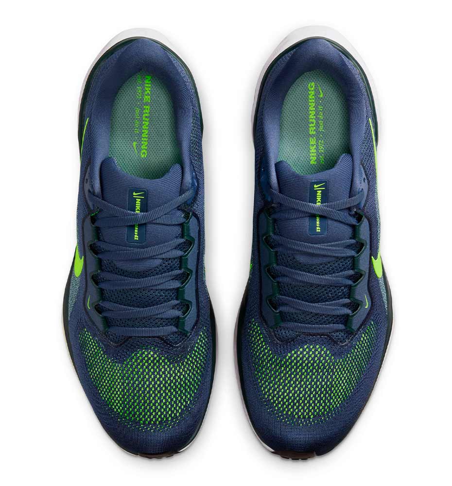 Zapatillas Running_Hombre_NIKE Pegasus 41