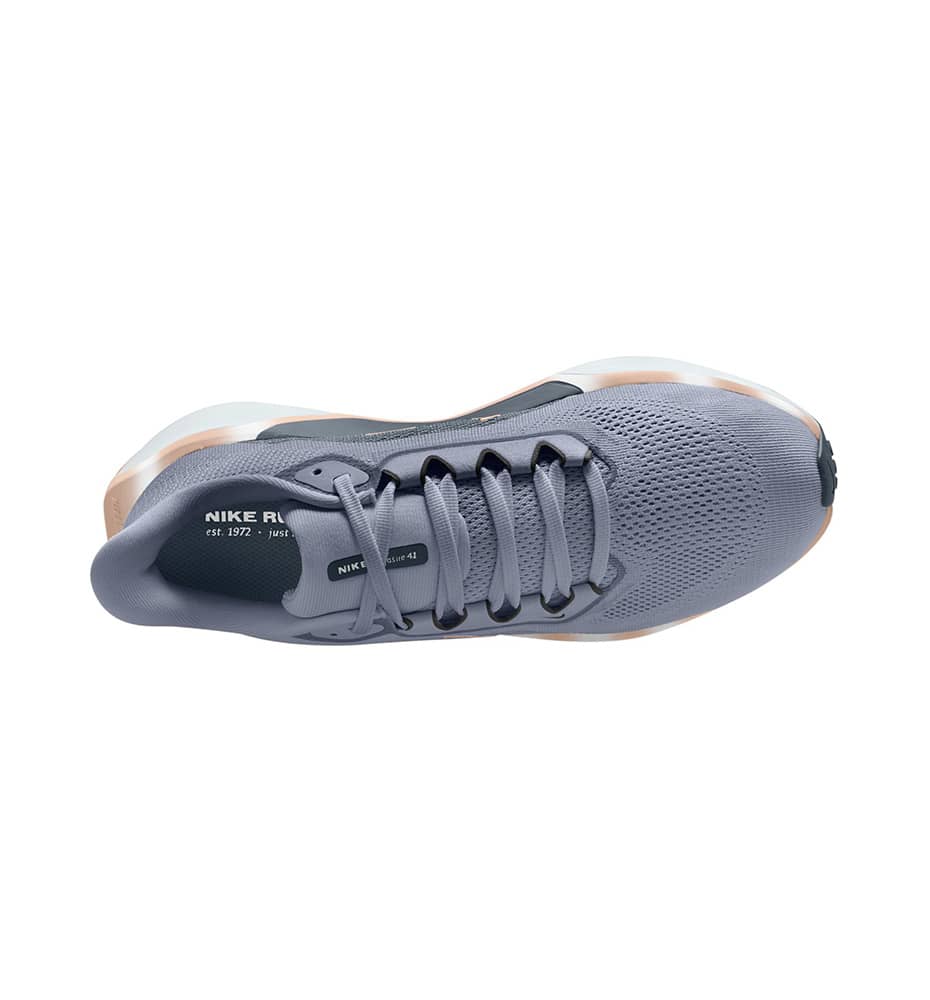 Zapatillas Running_Mujer_NIKE Pegasus 41 W