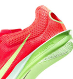 Nike Dragonfly 2 M Spike Shoes