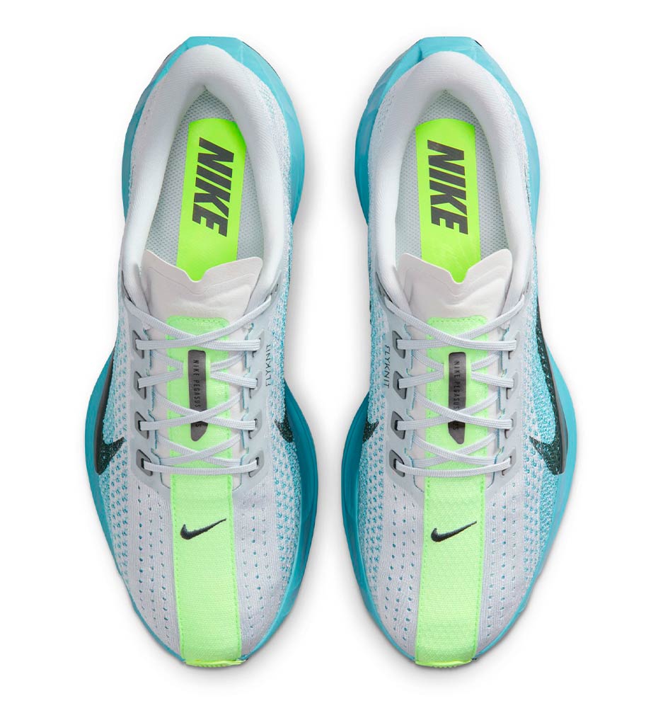 Running Shoes_Men_NIKE Pegasus Plus M