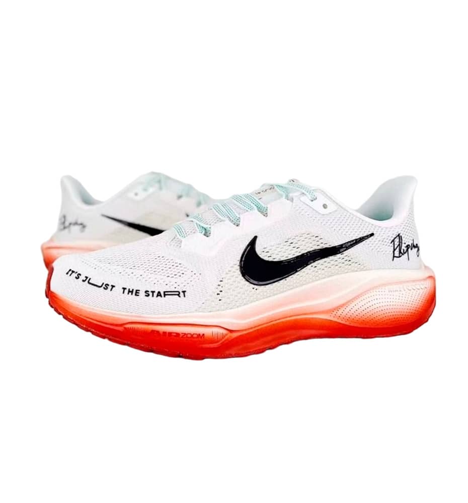 Zapatillas Running_Hombre_NIKE Pegasus 41 Ek M