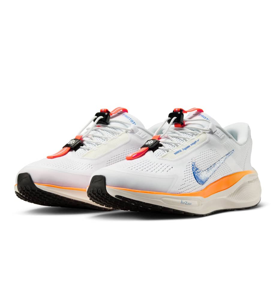 Zapatillas Running_Hombre_NIKE Pegasus Easyon Blueprint M