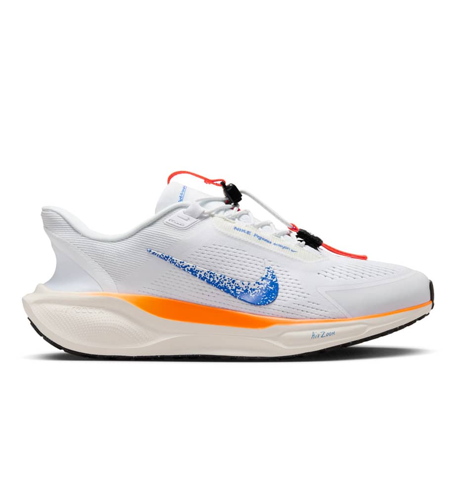 Zapatillas Running_Hombre_NIKE Pegasus Easyon Blueprint M