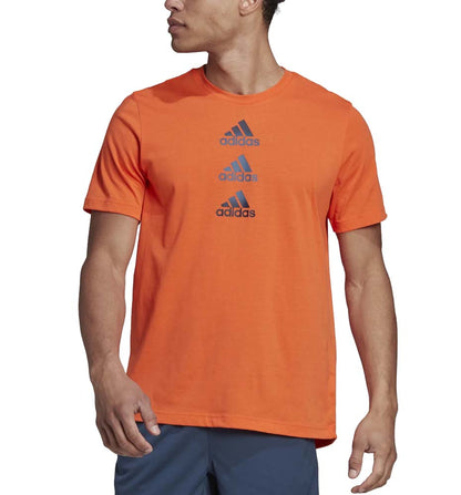 T-shirt M/c Fitness_Men_ADIDAS Designed to Move Logo Tee