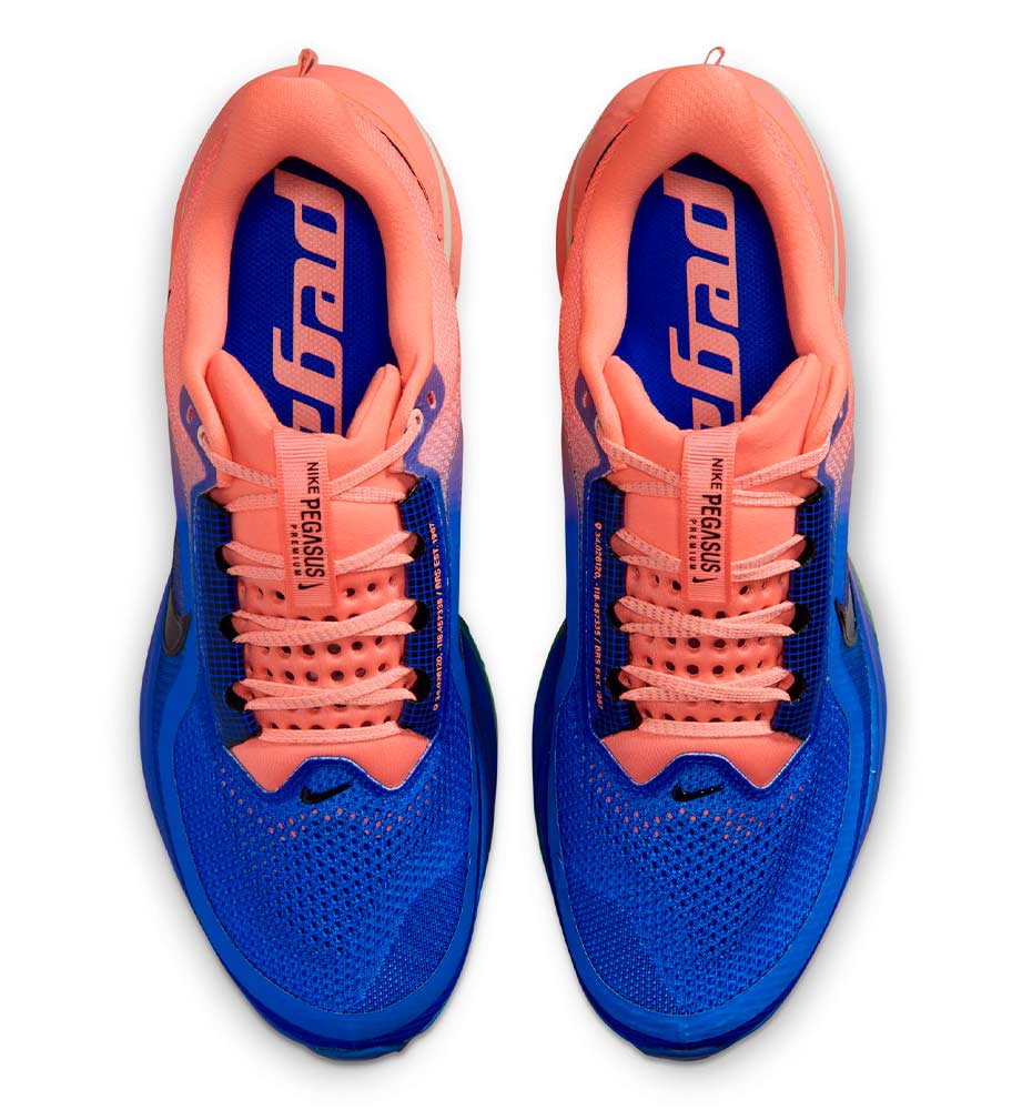 Nike Pegasus Premium Running Shoes