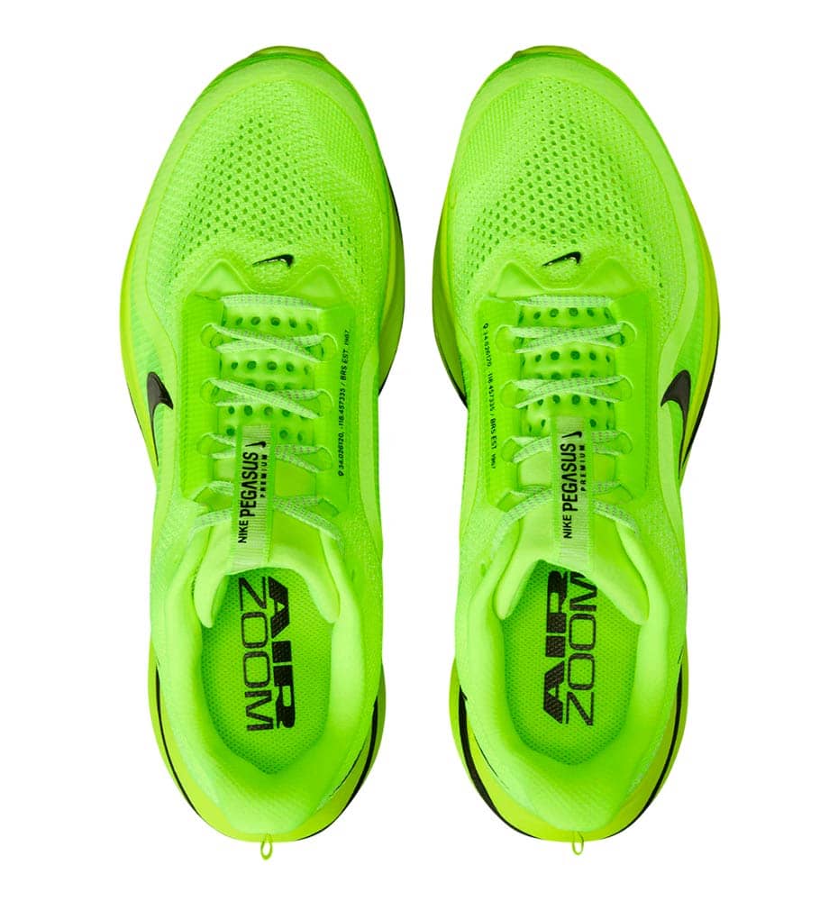 Running Shoes_Men_NIKE Pegasus Premium M