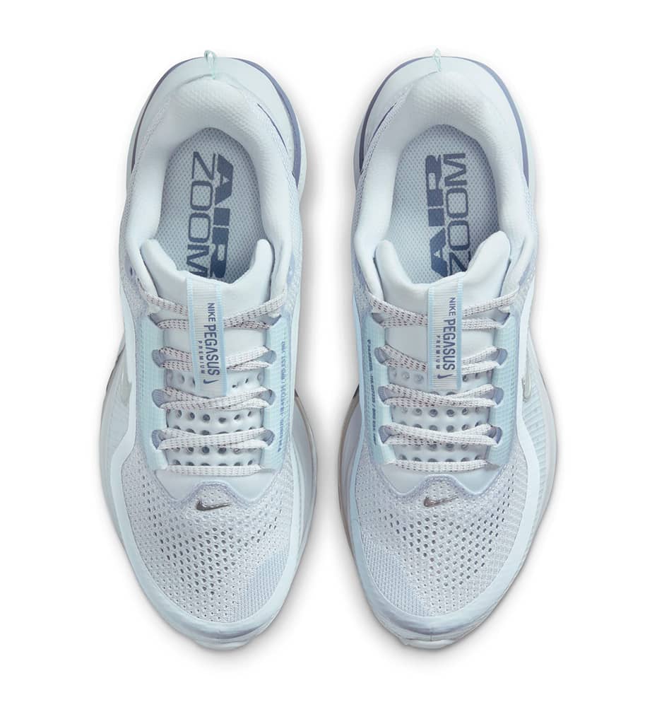 Running Shoes_Women_NIKE Pegasus Premium W