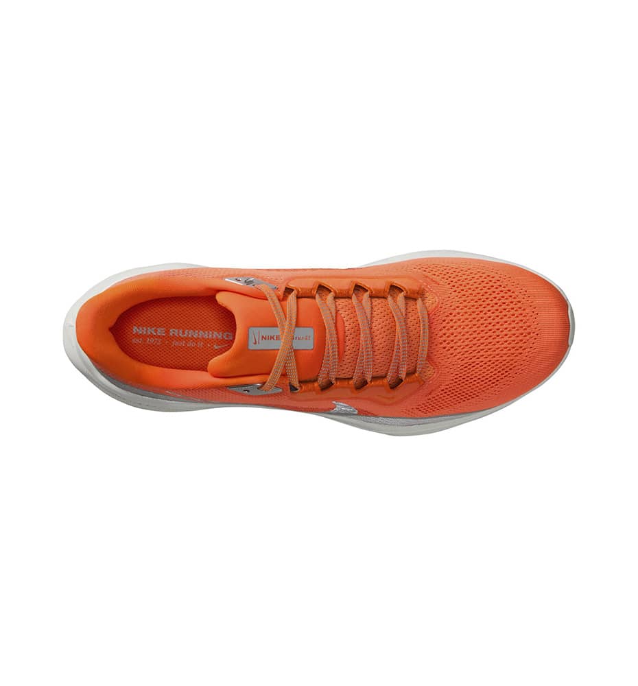 Zapatillas Running_Hombre_NIKE Pegasus 41 Prm M