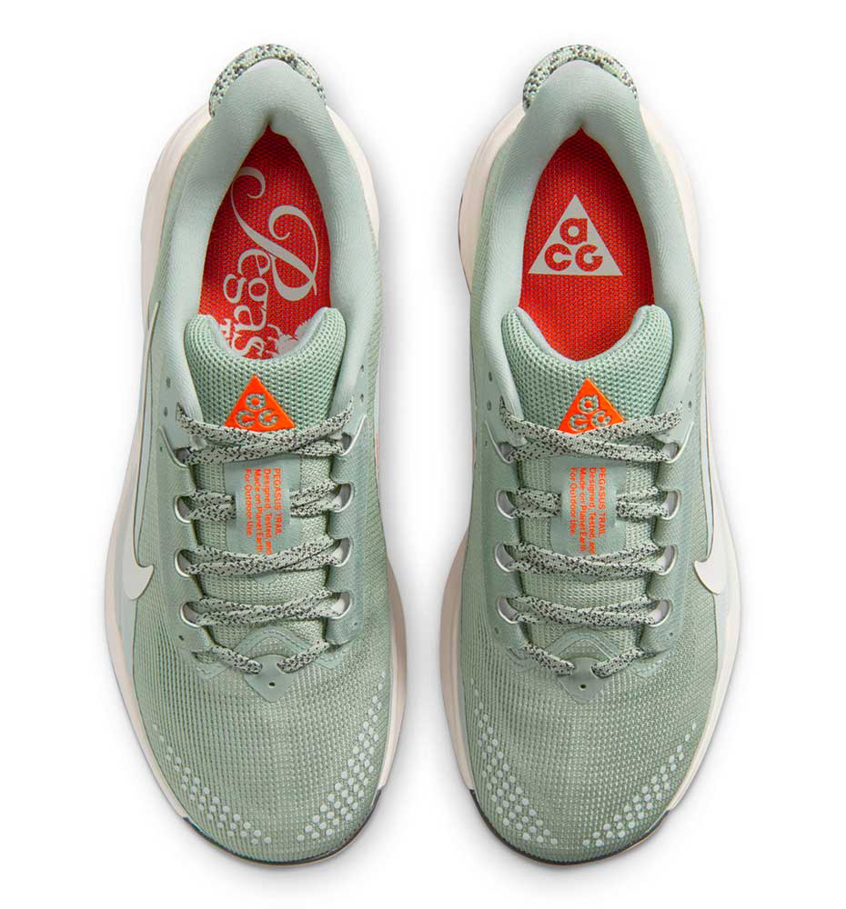 Nike ACG Pegasus Trail Shoes