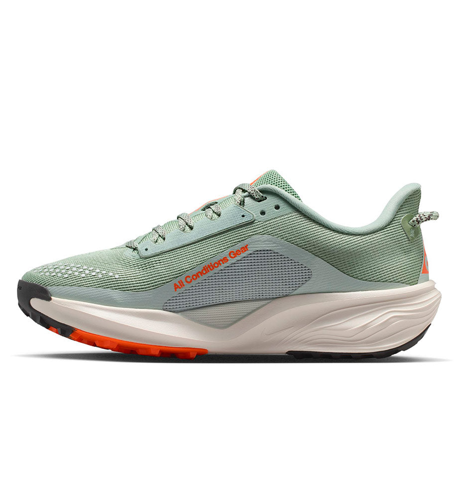 Nike ACG Pegasus Trail Shoes