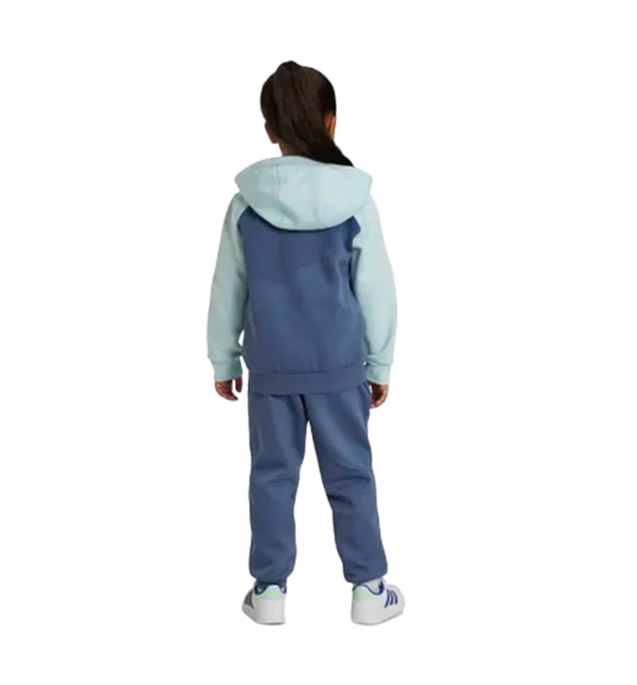 Tracksuit Casual_Unisex_ADIDAS Lk Bl Fl Ts