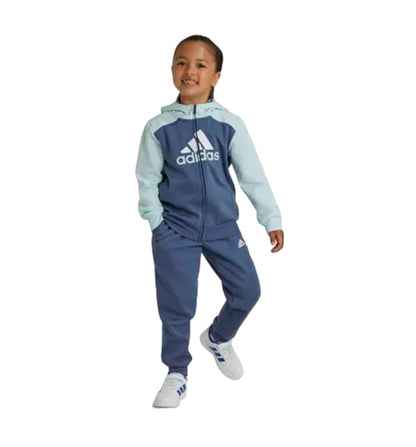 Tracksuit Casual_Unisex_ADIDAS Lk Bl Fl Ts