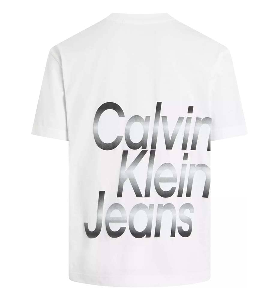 T-shirt M/c Casual_Men_CALVIN KLEIN Blown Up Diffused Stacked Tee