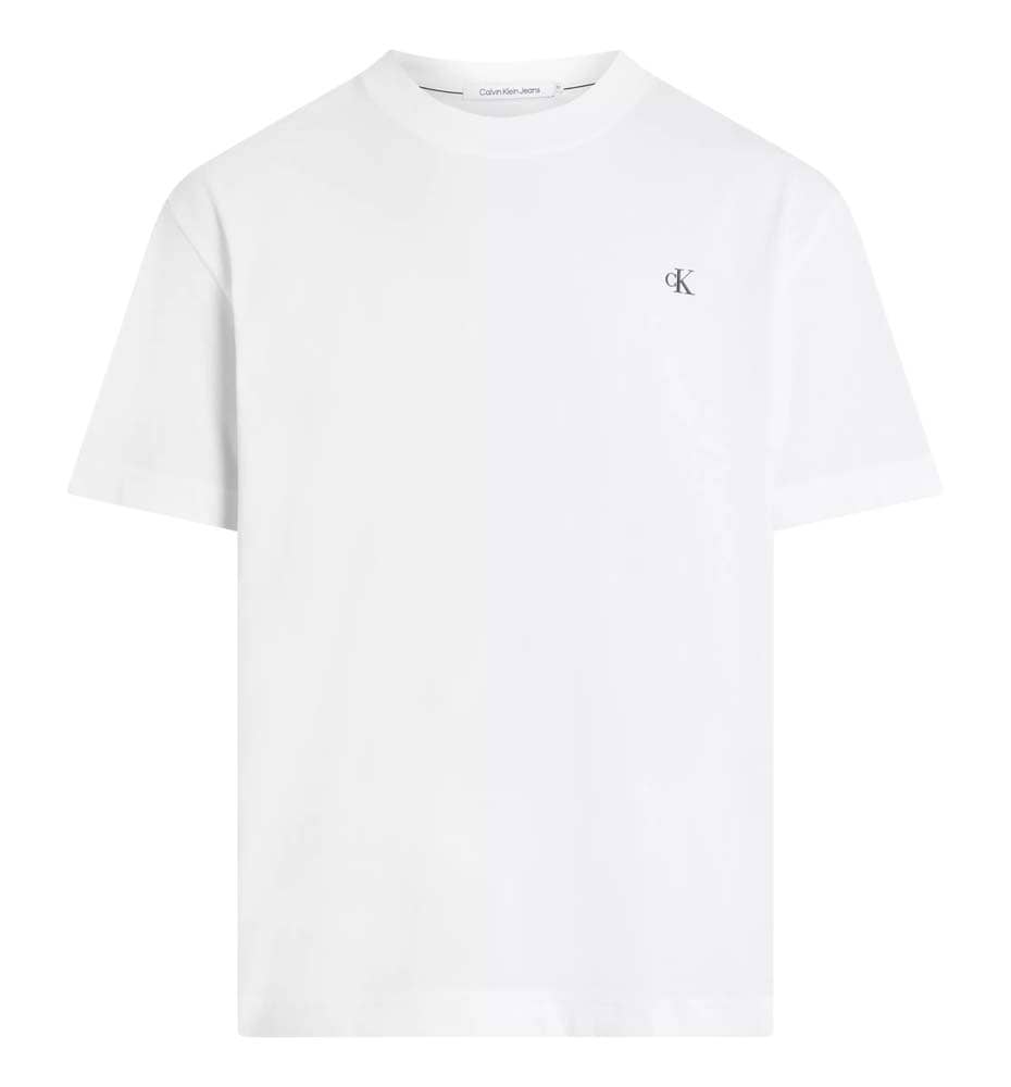 T-shirt M/c Casual_Men_CALVIN KLEIN Blown Up Diffused Stacked Tee