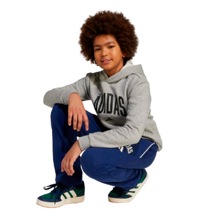 Casual Hooded Sweatshirt_Boy_ADIDAS Junior Collegiate Hoodie