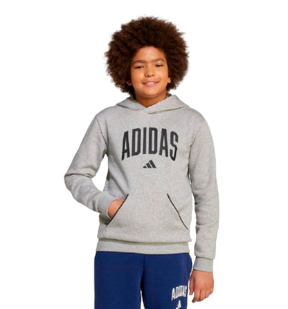 Casual Hooded Sweatshirt_Boy_ADIDAS Junior Collegiate Hoodie